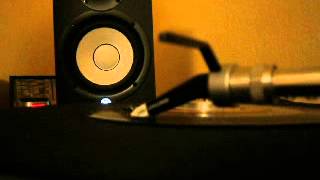 Snoop Lion Fruit Juice