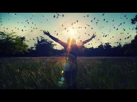 Timo Chinala - Forgotten Realms (Zusammenklang Remix)