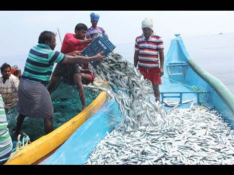download lagu mp3 mp4 Fishermen At Sea, download lagu Fishermen At Sea gratis, unduh video klip Fishermen At Sea