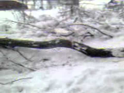 Baieti de la bogata cai grei