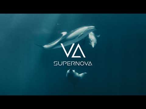 Revival Agents - My Native Soul