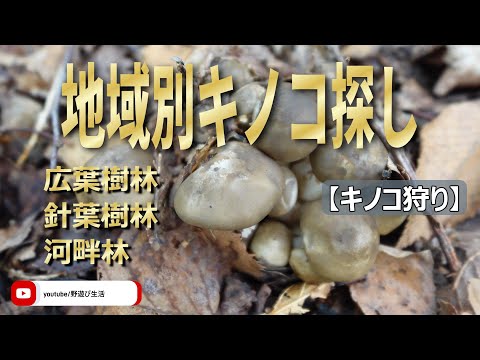 木灰が好きな野菜はどれですか?知っておくべきことはすべて！  庭園