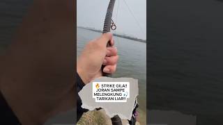 Download lagu STRIKE LIAR!! Joran Sampai Melengkung 🔥 Sensasi Tarikan Ikan Bikin Ketagihan 🎣 mp3
