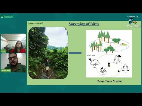 Vibepedia Sustainability Assessment | Vibepedia