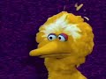 Sesame Street Toodle Loo 2OOO