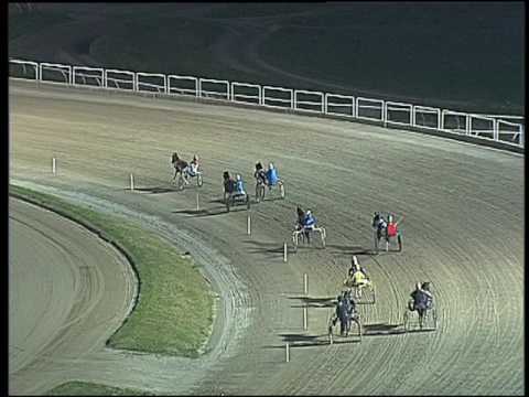 Trotto 30/10/2016 - corsa minitrotter