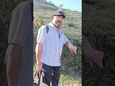 Vereda el.mosquito Argelia Antioquia viva el campo 