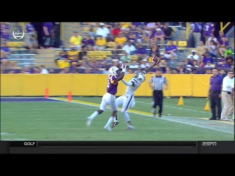 crazy amazing catch by Shamier Jeffery in LSU vs South Carolina 2015