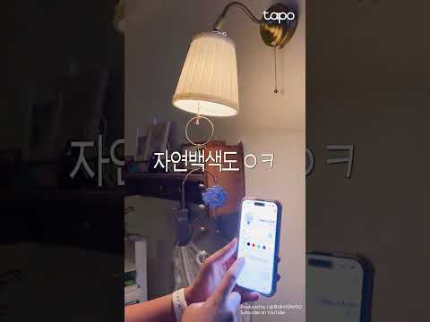 전구랑 춤 췄더니 고양이가 진짜 잘 노네ㅋ 이럼 | Tapo L430P