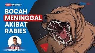 Anak 11 Tahun di Kabupaten Timor Tengah Selatan Meninggal Dunia, Duduga Rabies seusai Digigit Anjing