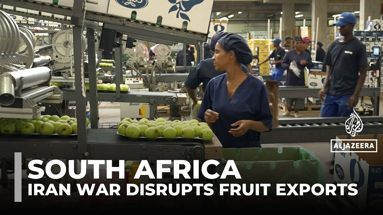 South African fruit exports face delays as Iran war disrupts global shipping routes