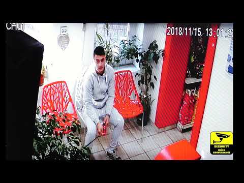 Hot  incepator in cabinet veterinar  Timisoara