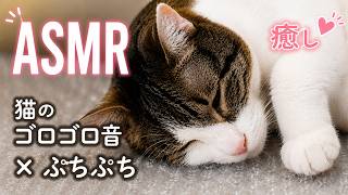 【番外編】猫ASMR ゴロゴロ音×ぷちぷち音|眠れる癒しのリラックス動画 #cat #asmr