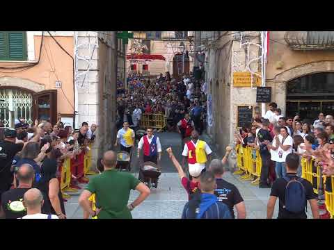 Corsa con la Carriola - Gonfalone di Arpino 2024