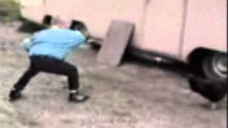 bernard lavilliers rock city