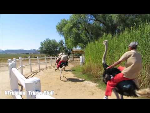 Emu Riding