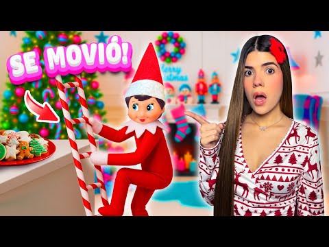 My RED ELF ARRIVED and I FILMED her MOVING😰 (Night 1🌛 with Pinki) | Ani Cat😻