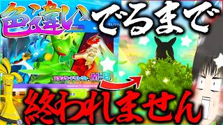 【1000連】地獄の色違い出るまでおわれないスカウトガチャ？！ シーズン２【ポケモンチャンピオンズ・ゆっくり実況】