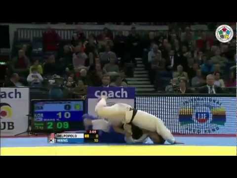 Judo Grand-Prix Düsseldorf 2013: Nicholas DELPOPOLO (USA) - Ki-Chun WANG (KOR) Bronze [-73kg]