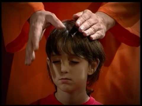 download lagu mp3 mp4 Reiki En Nios Hiperactivos, download lagu Reiki En Nios Hiperactivos gratis, unduh video klip Reiki En Nios Hiperactivos