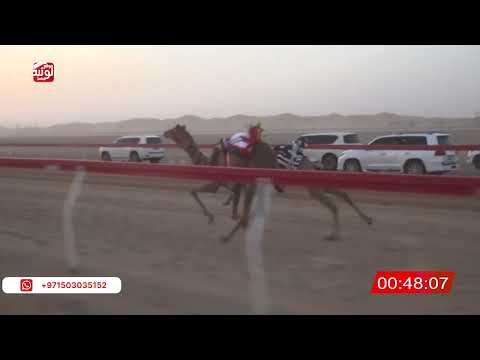  ش 1 دخول جماعي 2:06 , شارة الصندوق 2026/04/25 فطامين الروضة