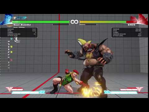 Cammy Optimal combo