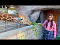 Shafa Feeds A Giraffe For The First Time At Park Zoo