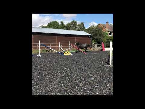 Millitendro - Diatendro