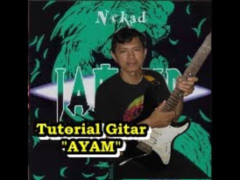 Ayam - Jamrud