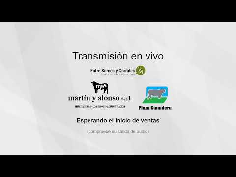 Remate Martin y Alonso SRL