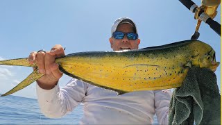 Solo Trolling Key Largo | Catch and Cook