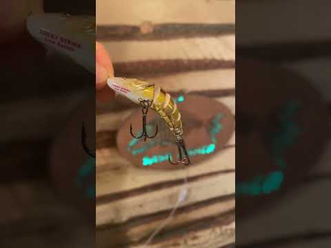 Realistic Lifelike Perch Fish Lure Catch Anything