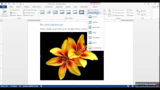How to insert a picture from internet in Word 2013