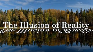 If the World is an Illusion, why does it SEEM so Real?  Insights of Science and Advaita Vedanta.