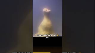 Russian homunculus pt 2 #scpfoundation #creepypasta