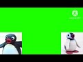 Pingu Pinga In Green Screen