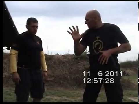 Russian Systema Hornet Group with Aleksandar Alex Kostić