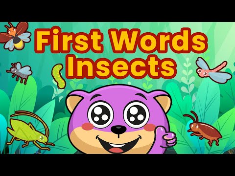 First Words Insects for kids | Learn Insects Vocabulary | FlashCards insects | 1 to 2 years