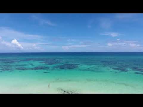 BONTONJERO X LOYALTY - TROPSKO LETO