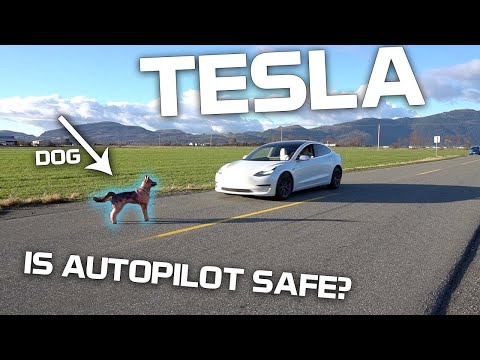 Will Tesla Autopilot hit a dog, human, or traffic cone?