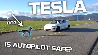 Will Tesla Autopilot hit a dog, human, or traffic cone?