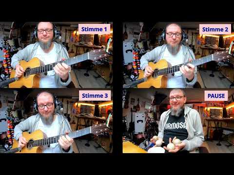 Vem kan segla förutan vind? 4. Stimme fehlt | Gitarren-Spielstück | playback | strings on ice 2026