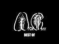 The best of Anal Cunt (compilation)