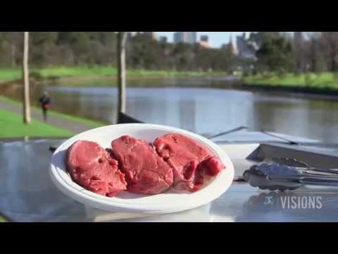 download lagu mp3 mp4 Beef Connective Tissue, download lagu Beef Connective Tissue gratis, unduh video klip Beef Connective Tissue