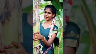 Download lagu Kutti vadivelu Sobi trending tiktok latest video mp3 Download lagu Kutti vadivelu Sobi trending tiktok latest video mp3