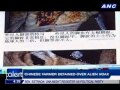 Chinese farmer arrested over alien hoax