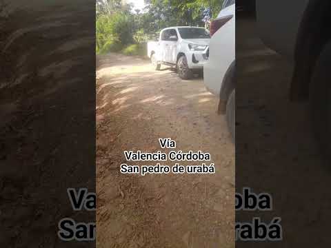 Caravana hoy miércoles vía valencia córdoba san pedro de urabá