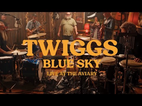 Blue Sky (The Allman Brothers Band) performed by Twiggs