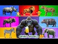 Safari Animal Sounds Song Nursery Rhyme For Kids Learn Animal Names And Sounds