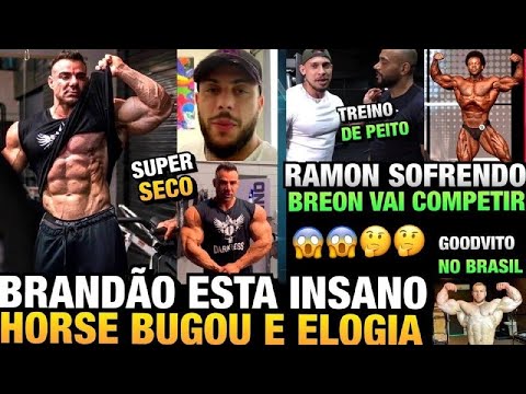 BRANDÃO MOSTRA SHAPE MUITO SECO E HORSE ELOGIA - RAMON TREINA PEITO COM BALESTRIN + BREON E GOODVITO